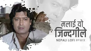 Malai Yo Jindagile Chot Diyo (Melodic Lofi Mix) | New Nepali Lofi Mix 2024