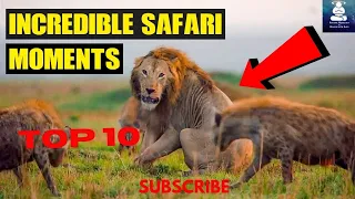 TOP 10 Incredible Shocking African Safari Moments Caught on Camera WOW #Safari #Animals #Lion #Top10