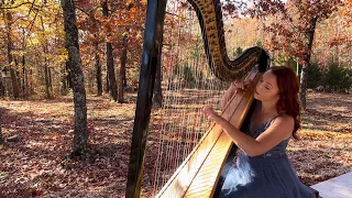 Unchained Melody from movie The Ghost (harp cover)