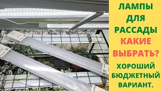 Какие лампы выбрать для выращивания качественной рассады. Все о подсветке для моих растений.