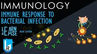 Immune Response to Bacterial Infection (Basics to the Core)