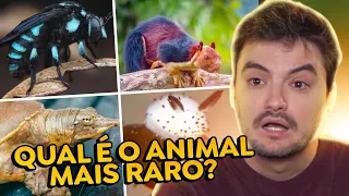QUAL O ANIMAL MAIS RARO DA NATUREZA?