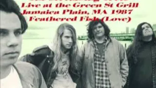Screaming Trees - Feathered Fish - Live - Boston -1987
