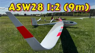 ASW28 1:2 Scale RC GLIDER (9m)