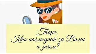 Таро. 4 Королевы. Кто наблюдает за Вами и зачем? Общий расклад. Гадание.