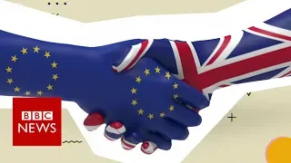 Brexit : What is the backstop? - BBC News