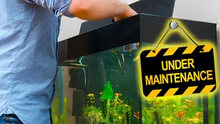 How to Start a Successful Aquarium Maintenance Business​​ [EXPERT ADVICE]