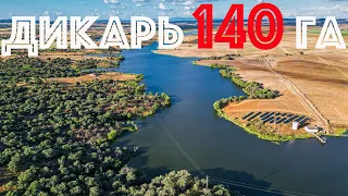 Карпфішинг на дикарі | Ловля карпа на дикаре | Карпфишинг дикарь