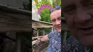 МОЁ ПРИУСАДЕБНОЕ ХОЗЯЙСТВО РАСТЁТ #шутки #юмор