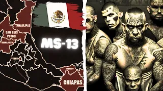 MS-13 Seeking Refuge In Mexico With Help Of Sinaloa Cartel!
