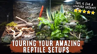 Reacting To Your Amazing Leopard Gecko & Crested Gecko Setups!