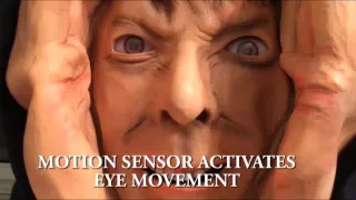 Animated Eyes Scary Peeper Prank Prop