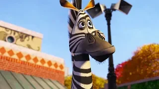 DreamWorks Madagascar | Marty's Best Moments | Madagascar Funny Scenes | Kids Movies | Kids Videos