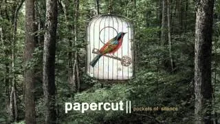 Papercut: Not the End ft Kid Moxie (Pockets of Silence) [The Sound Of Everything]