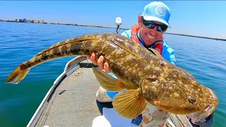 CATCHING GIANT FLATHEAD on Soft Glides