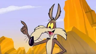 Wile E  Coyote vs  Trains, Planes, and Automobiles - KIDS CARTOON CARE