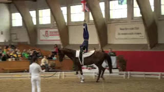 CVI Bern 2015 - Céline Hofstetter SUI (CVI3*)