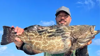 Florida Keys Patch Reef Fishing with LIVE SHRIMP!