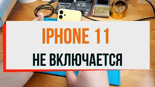 iPhone 11 не включается