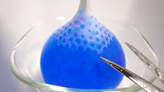 青と紫 オービーズ3333個で風船スクイーズ作ってみた 3333 Orbeez Balloon Experiment