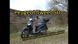 Peugeot Tweet 50 | französisch-chinesicher Alltagsheld mit über 30000km | Fahrzeugporträt