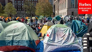 This Is The 'Central Demand' Of Anti-Israel Protesters At Columbia University: Spectator E-I-C