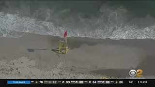 Shark Spotted Off Lido Beach In Town Of Hempstead