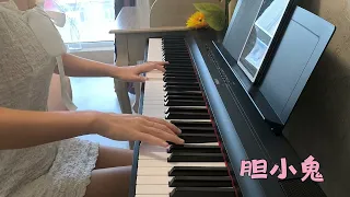 弹钢琴的柯基—清新小情歌《胆小鬼》｜梁咏琪