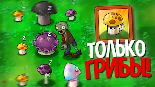 Возможно Ли Пройти Plants Vs. Zombies Используя ТОЛЬКО Грибы?