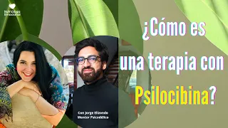 ¿Cómo es una Terapia con Psilocibina?