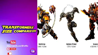 Transformers size comparison