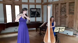 Camille Saint Saëns Fantaisie for violin (flute) and harp played by Duo Mulinello