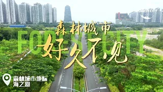 馬來西亞碧桂園森林城市 Forest City - 好久不見 概覽篇