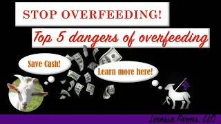 Are You OVERFEEDING Your Sheep and Goats?  Top 5 Reasons to STOP NOW!