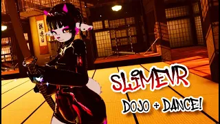 SlimeVR: VR Dojo + Dance!