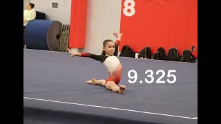 Level 5 floor routine, 1st place, 8 years old, 9.325