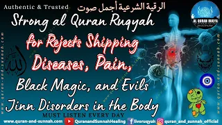 QURAN RUQYAH FOR REJECTS SHIPPING DISEASES, PAIN, BLACK MAGIC, AND EVILS JINN DISORDERS IN THE BODY