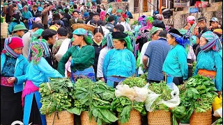 Mộc Mạc Chợ Phiên Bán Nhiều Đồ Rừng Nhất HÀ GIANG | Miền núi tây bắc