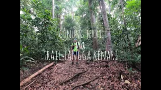 Gunung Jerai via Trail Tangga Kenari