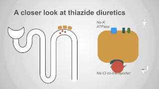 Thiazide diuretics