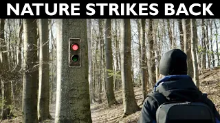 When Nature Strikes Back - VFX Short Film