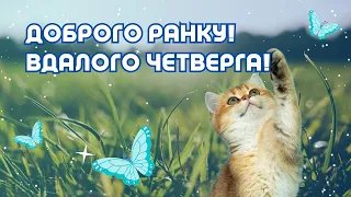 Доброго ранку! Вдалого четверга! Гарного настрою на весь день!