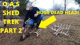 SHED HUNT 2021 PART 2! Huge dead head and match sets!!