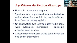 Morphology of Treponema Pallidum @InfinityLearn_NEET @zamzamelectronicstradingllc