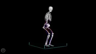 Sit to Stand Transfer: Forward Dynamics (with back muscles)