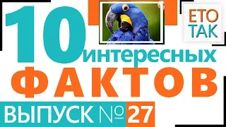 Интересные факты о ГИТЛЕРЕ, ФОРТЕ НОКС, ЛИНЕ МЕДИНЫ, ЛАКОМСТВО ВЕНГРОВ, ПЕТУХЕ-ФЕНИКСЕ...– Это Так