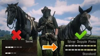 Highest horse level in Red Dead Redemption2