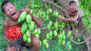 survival in The rainforest- Awesome fruit mago on the Tree - heart Fruit eating #00023