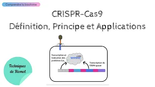 CRISPR Cas9 : Définitions, Principe et Applications | PRIX NOBEL DE CHIMIE 2020