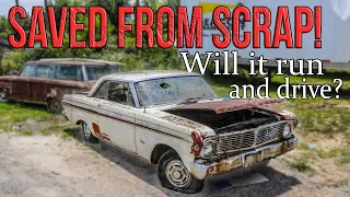 SAVED from the CRUSHER! 1965 Falcon Futura - Will It Run and Drive?